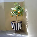 Casa vacanze Il 23 La Spezia