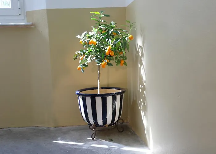 Casa vacanze Il 23 La Spezia